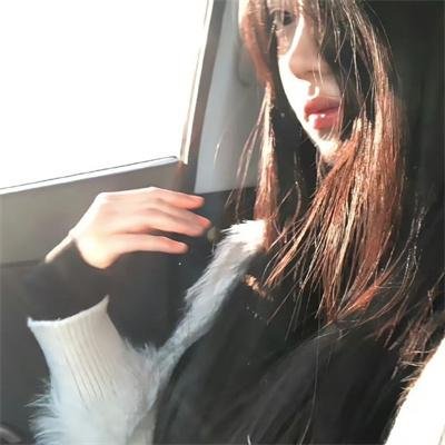 狐狸捕手