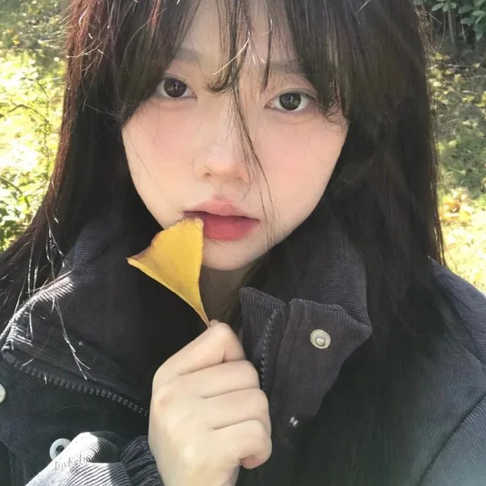 藩篱